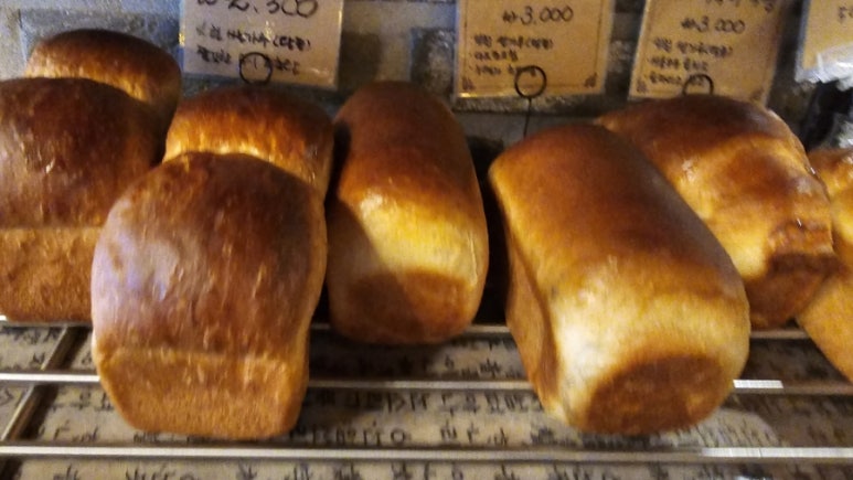 조은하루 이미지