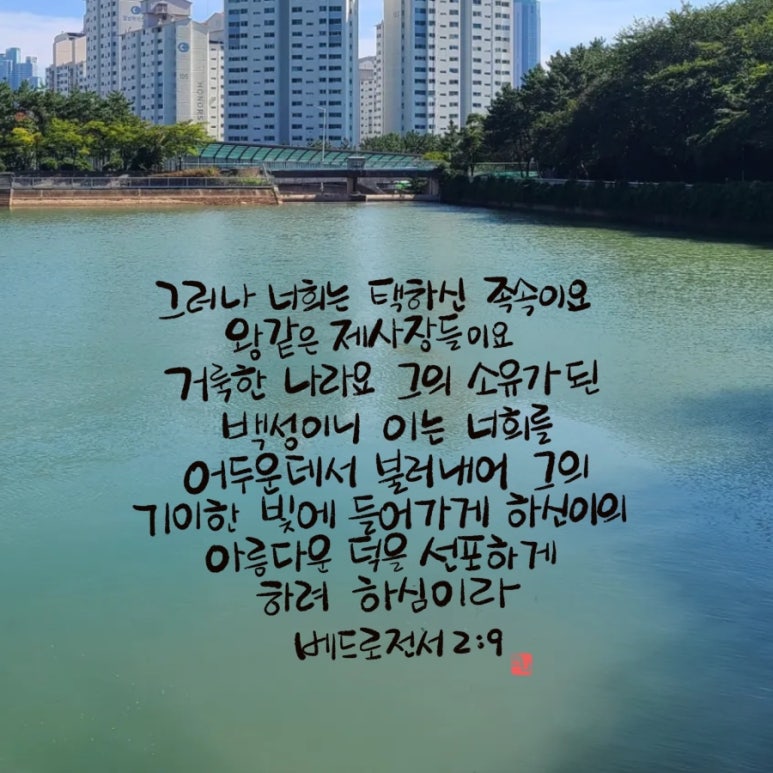브니엘네이처(주) 이미지