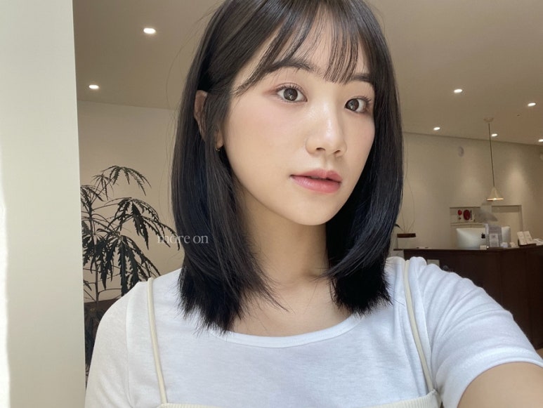 윈드플라워 이미지