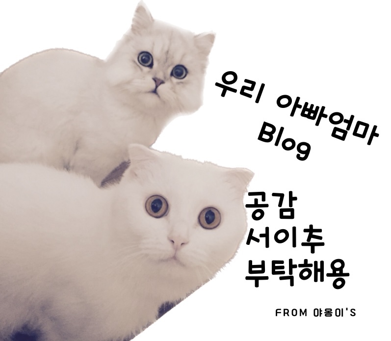 한우명가백운정 이미지