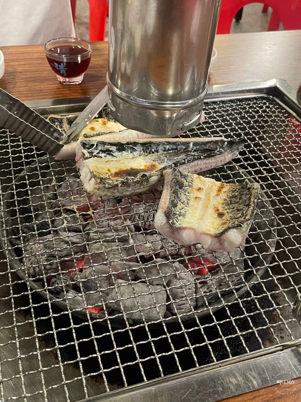 신화장어 이미지