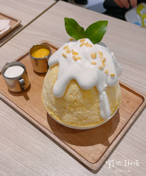 플라쏘 이미지