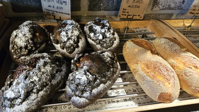 조은하루 이미지