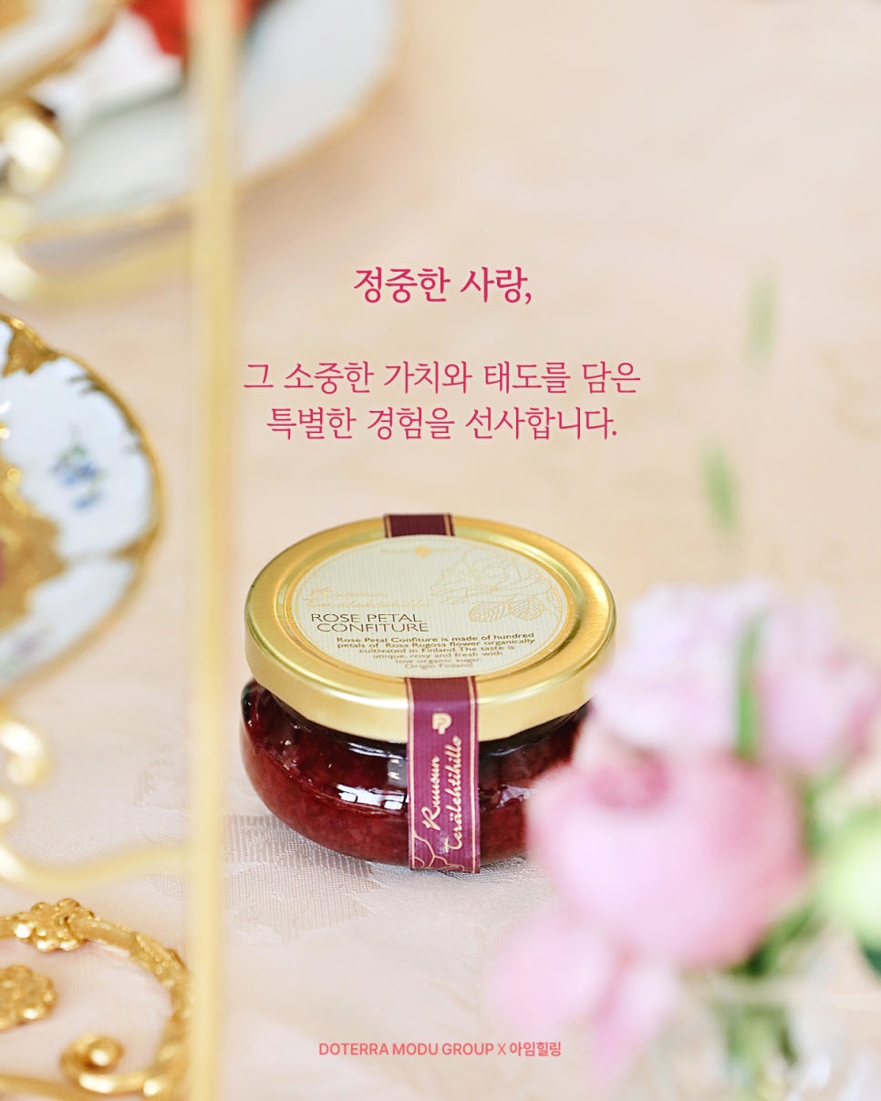 도테라코리아(유) 이미지