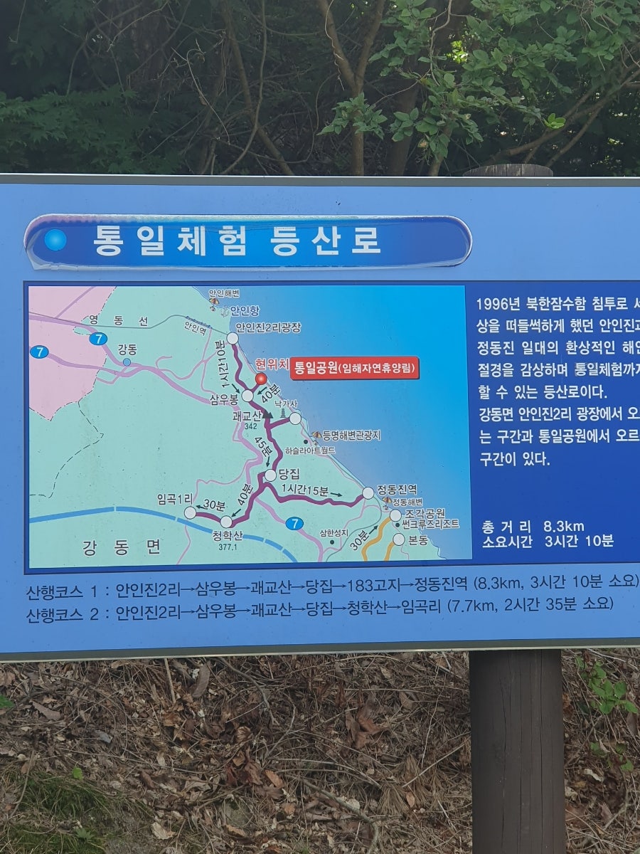 안인진임해자연휴양림 이미지