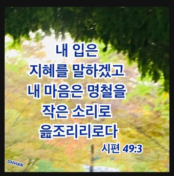 균형과감각 이미지