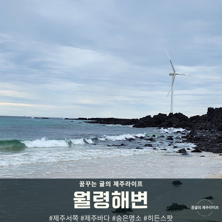 판포서프 이미지