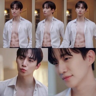 모아랜드 이미지