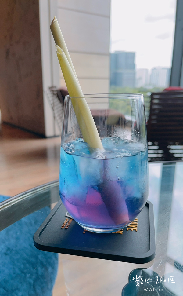 플라쏘 이미지