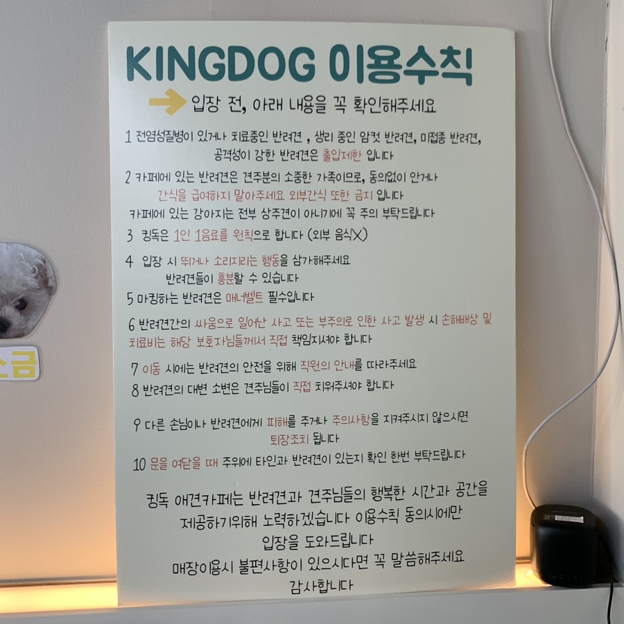 킹독 이미지