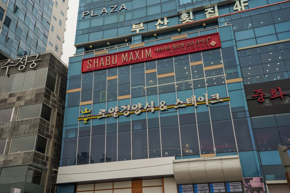 로얄식스 이미지