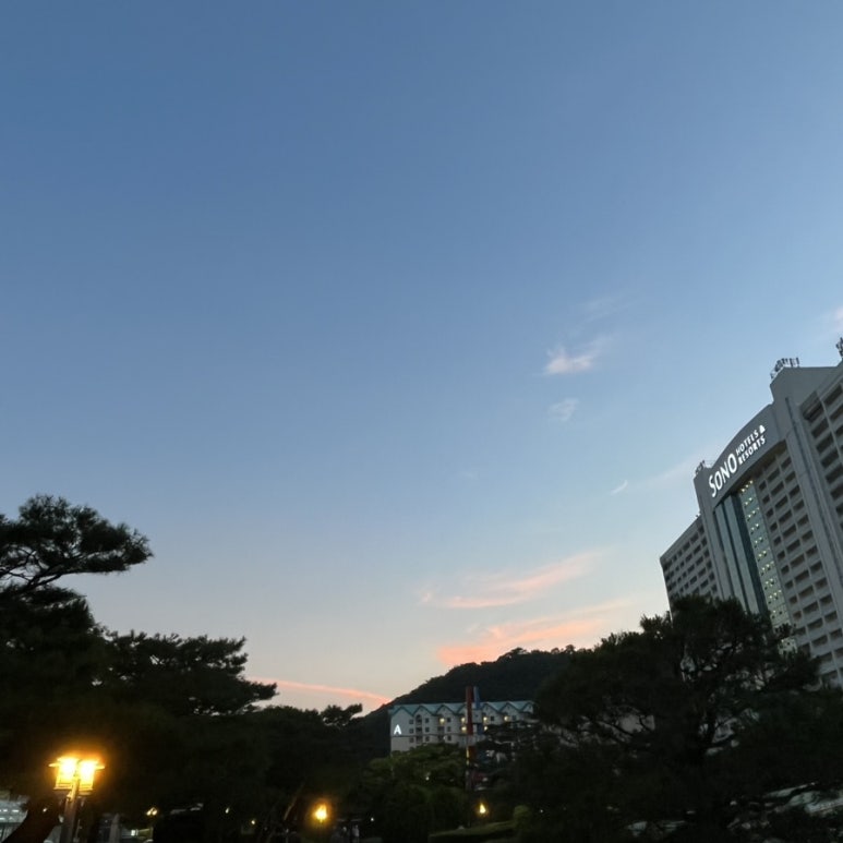 스타벅스비발디파크점 이미지