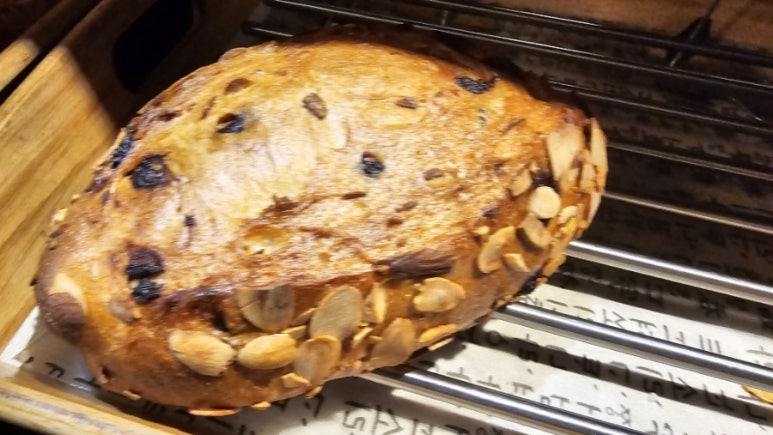 조은하루 이미지