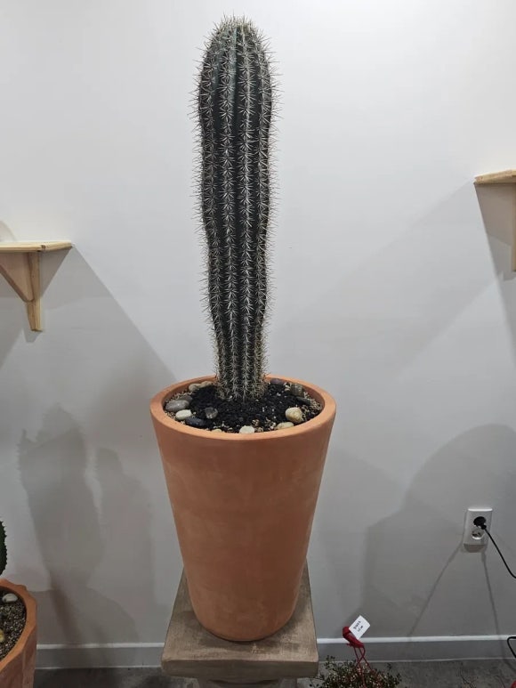에덴화원 이미지