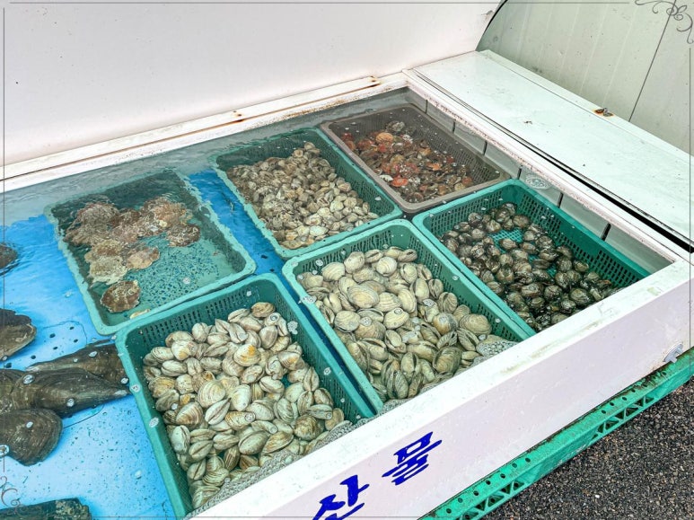 찜의나라 이미지