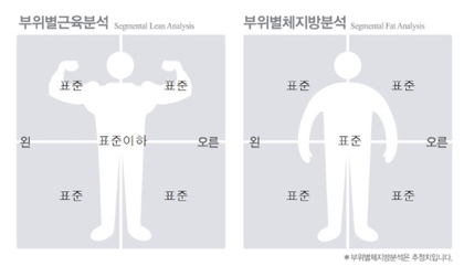 한낮의햇살 이미지