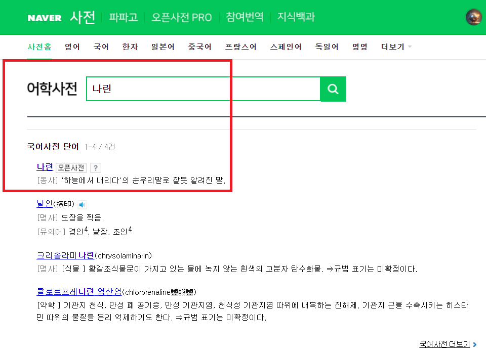 하늘에서나리다 이미지