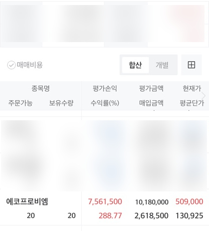 에코방스 이미지