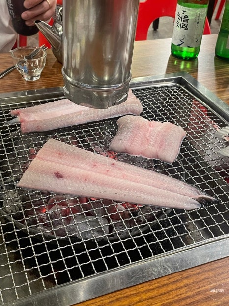 신화장어 이미지