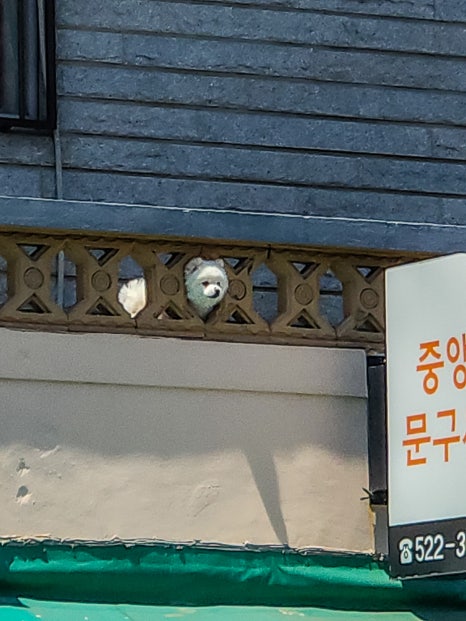 부산문구사 이미지