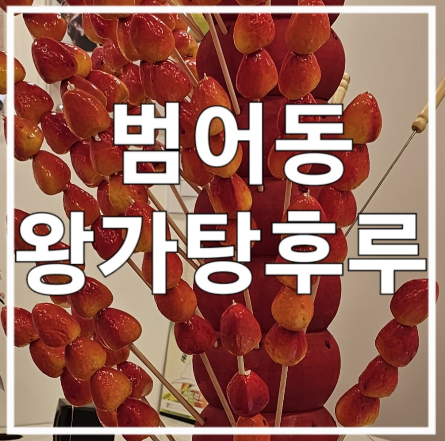 대구달콤왕가탕후루 이미지