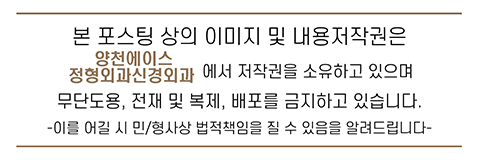양천에이스정형외과신경외과의원 이미지