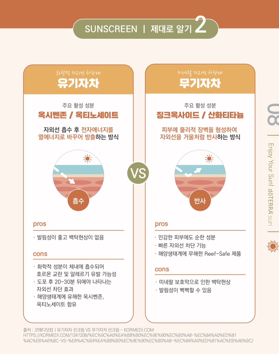 도테라코리아(유) 이미지