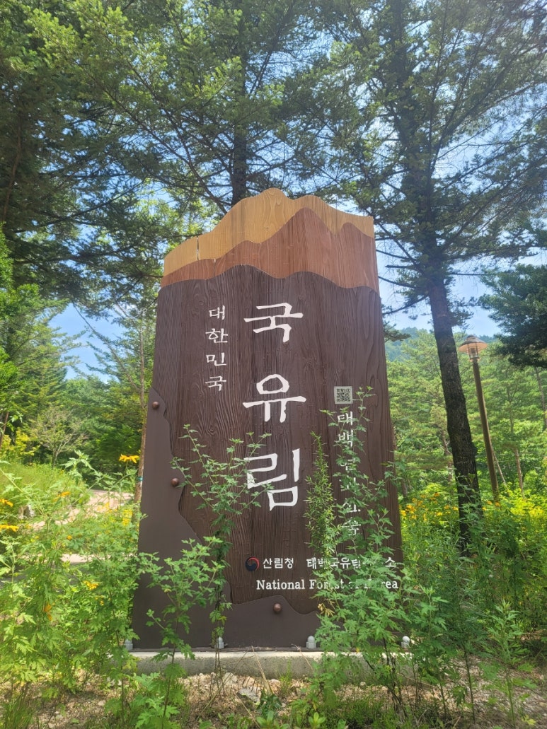 연화산 유아숲체험원 이미지