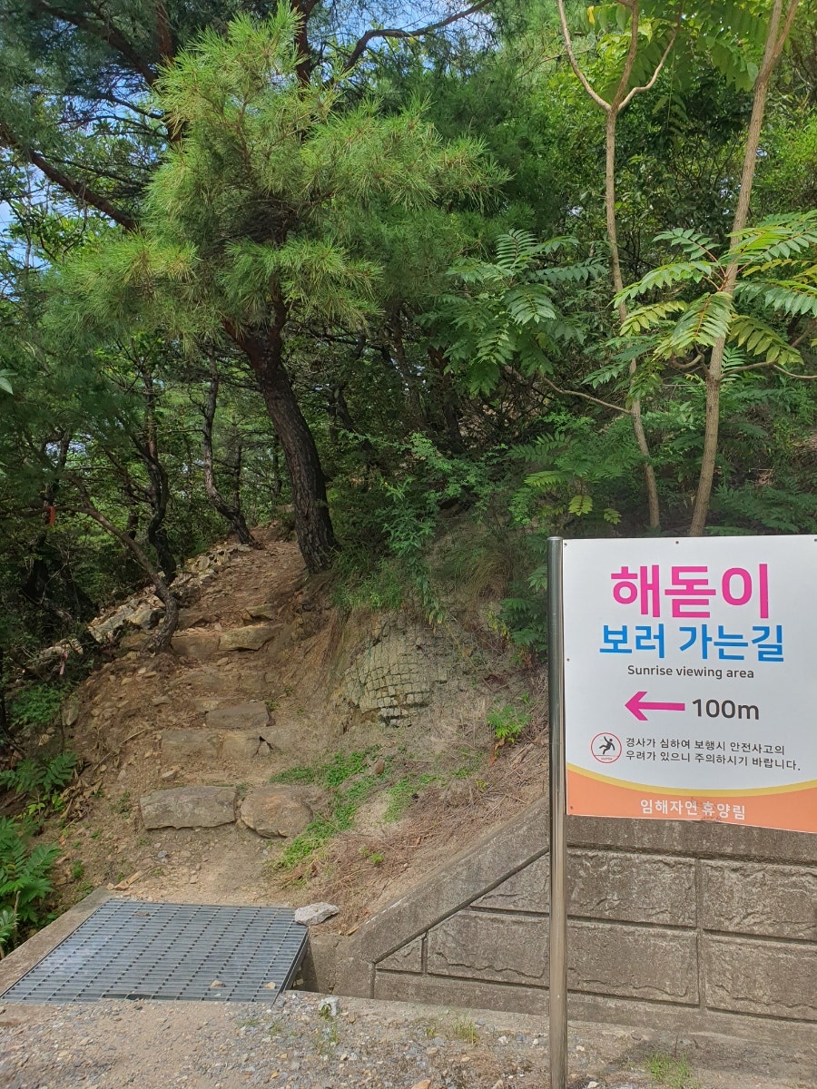 안인진임해자연휴양림 이미지