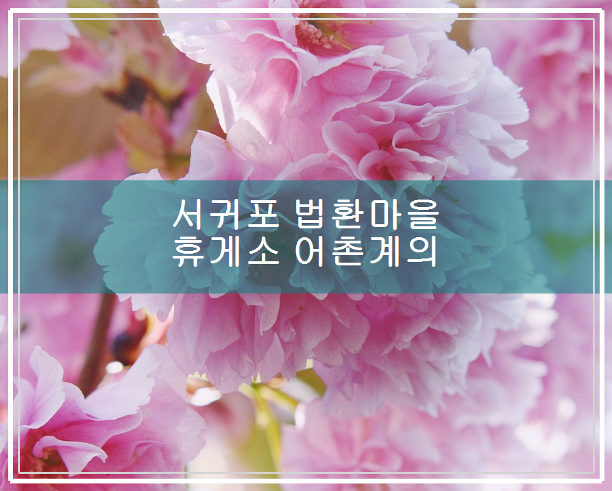 법환어촌계해녀식당 이미지