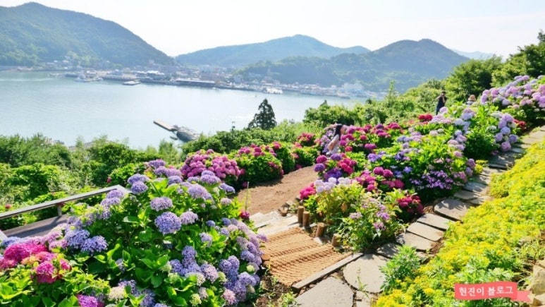 별마실 이미지