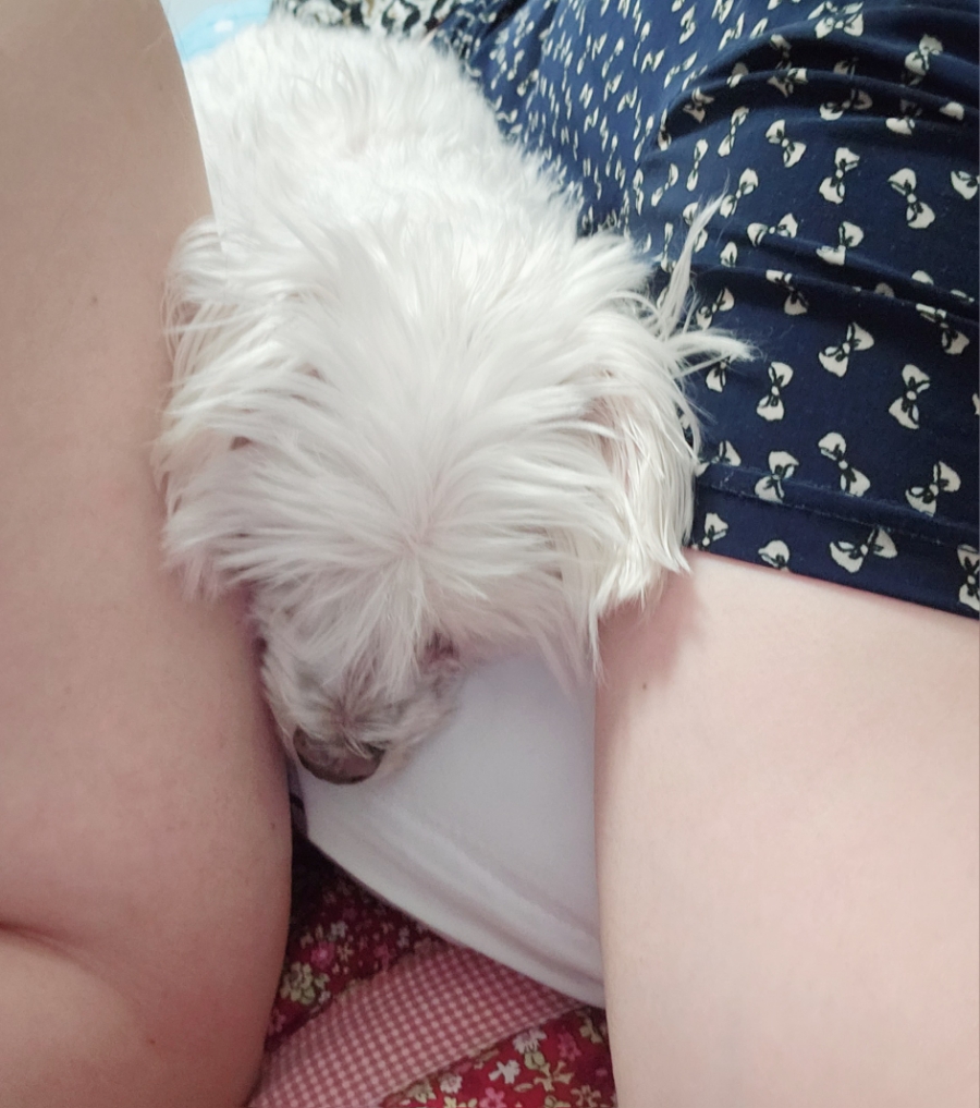 화식원 이미지