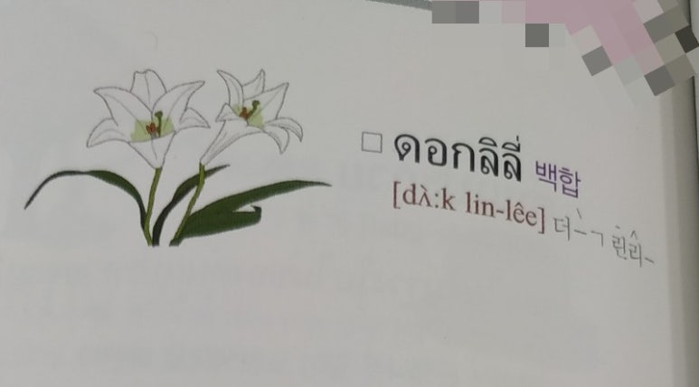 꽃덕 이미지