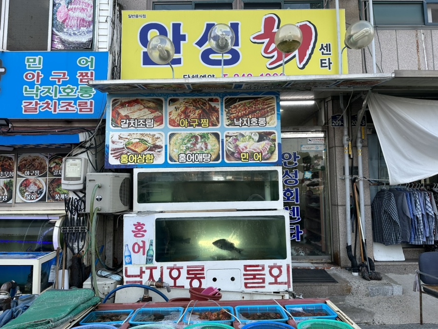 안성회센타 이미지