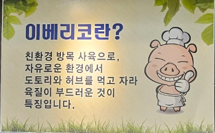 통큰9292 이미지
