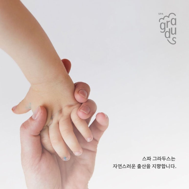 그라두스 이미지