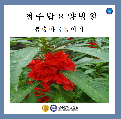 힐링탑 요양병원 이미지