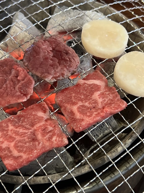 히바치텐 이미지