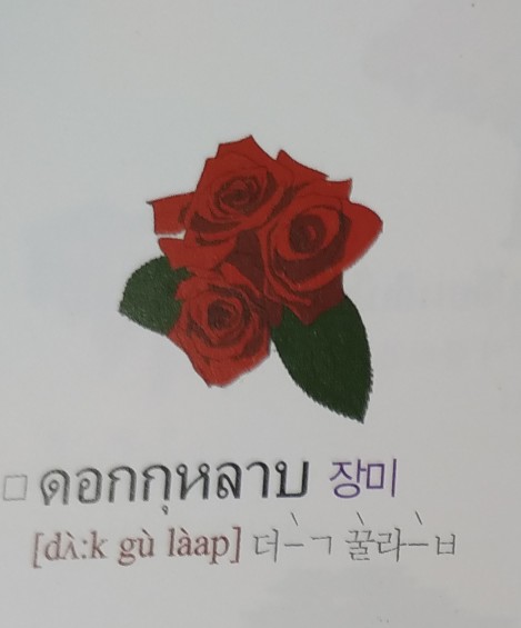 꽃덕 이미지