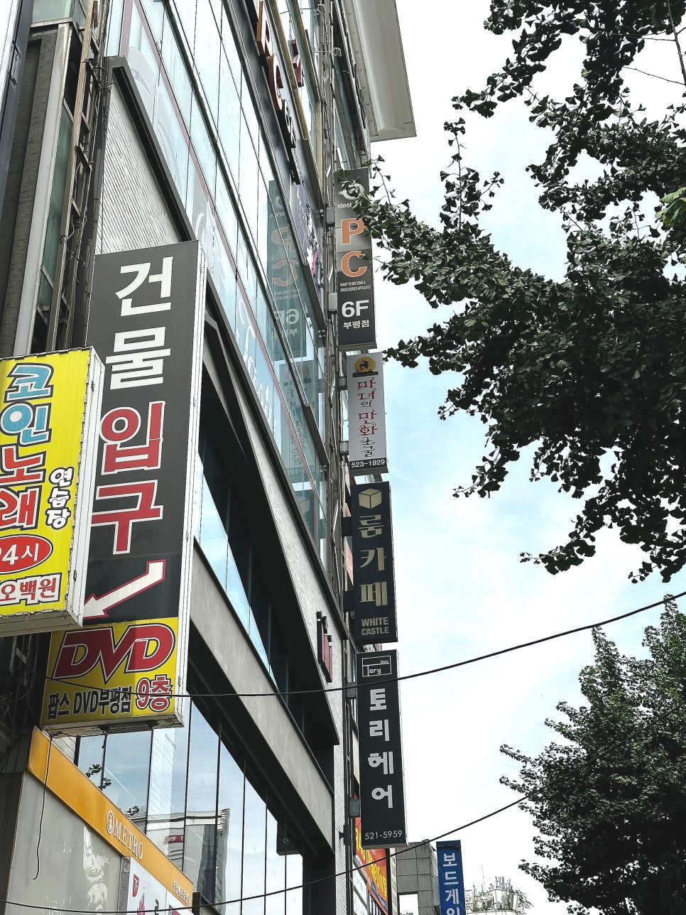 마녀의만화소굴 이미지