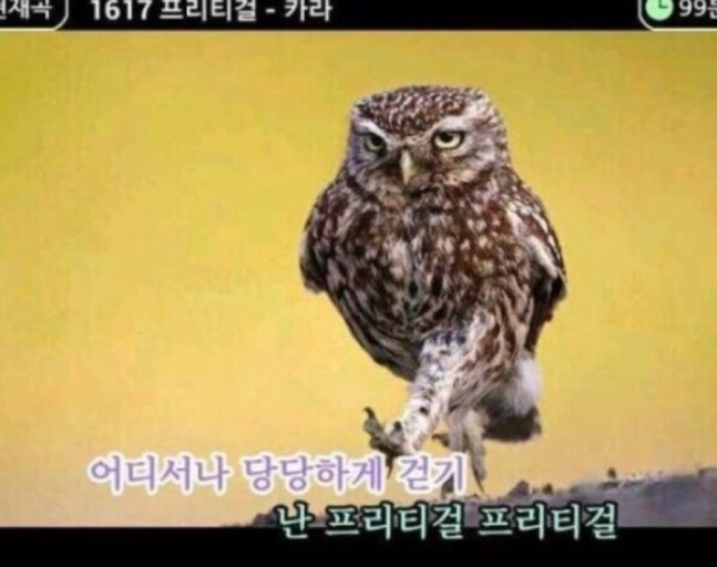 타마이 이미지