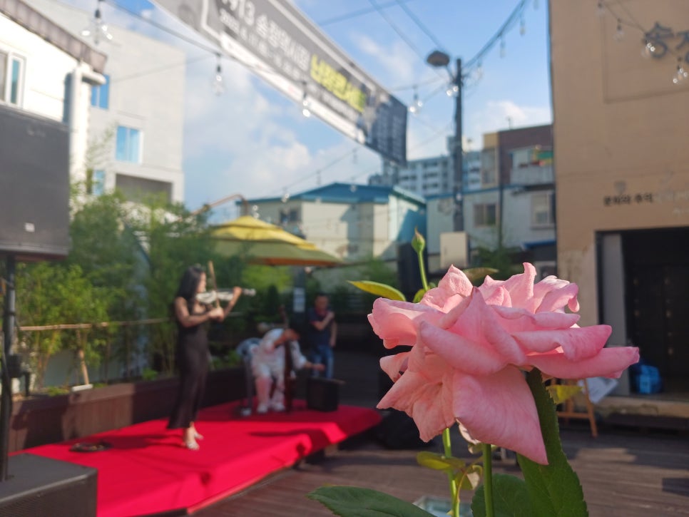 송정cafe1913 이미지
