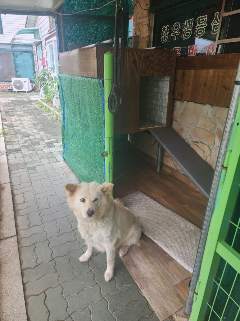 고향산천삼겹살 이미지