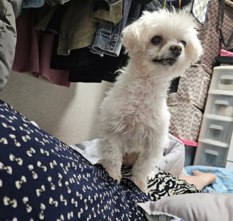 화식원 이미지