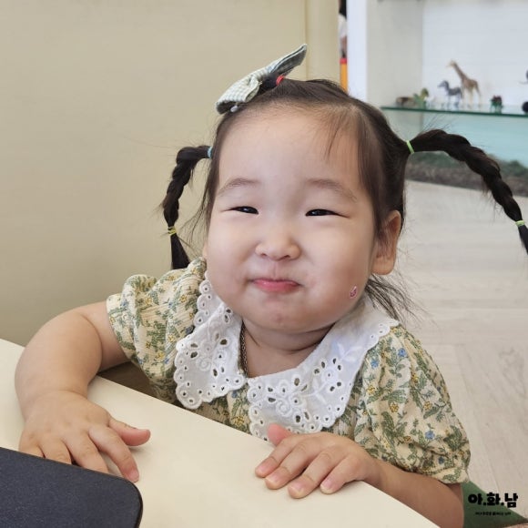 샌드포레스트 이미지