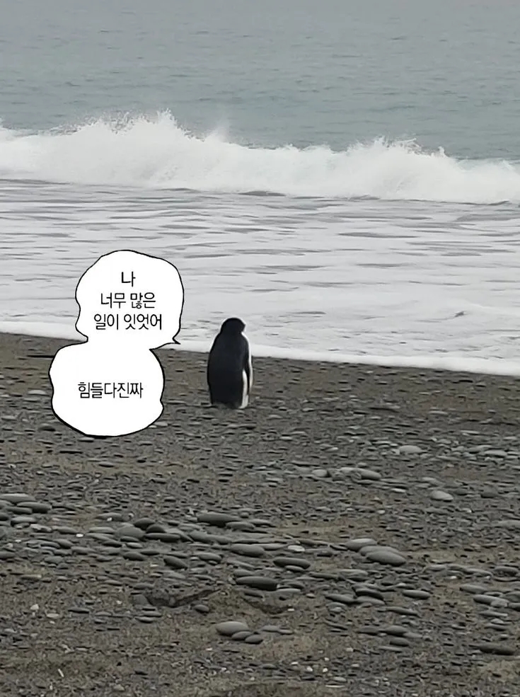 드림한정식 이미지