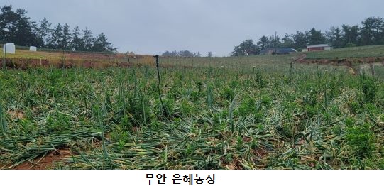 은혜개발 이미지