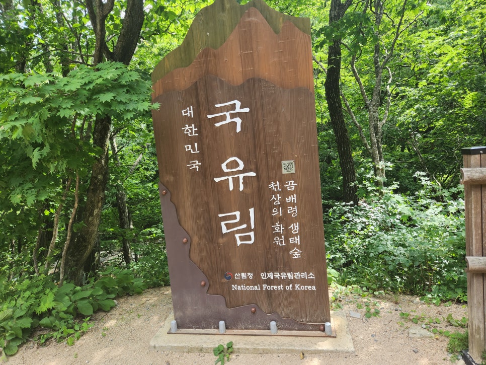 아침가리계곡캠핑장 이미지