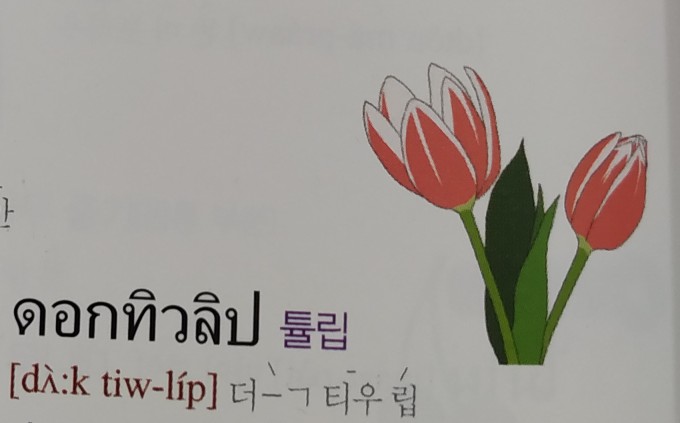 꽃덕 이미지
