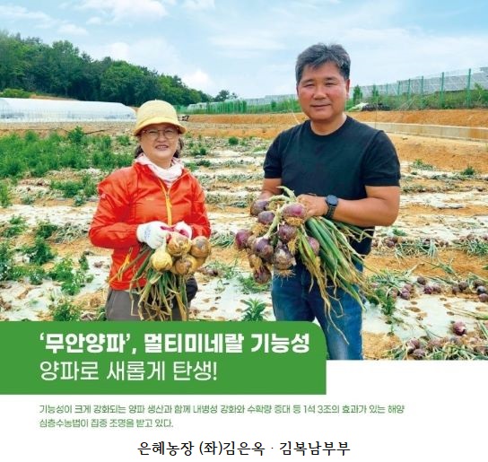 은혜개발 이미지